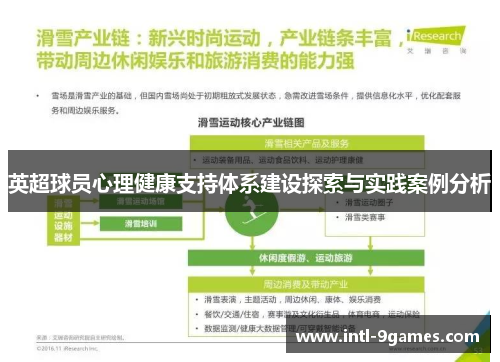 英超球员心理健康支持体系建设探索与实践案例分析