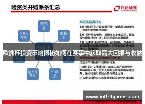 欧洲杯投资策略揭秘如何在赛事中获取最大回报与收益