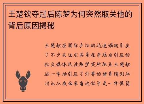 王楚钦夺冠后陈梦为何突然取关他的背后原因揭秘